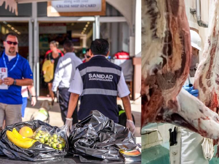 ¿Qué está pasando en el Servicio Nacional de Sanidad, Inocuidad y Calidad Agroalimentaria (Senasica)?