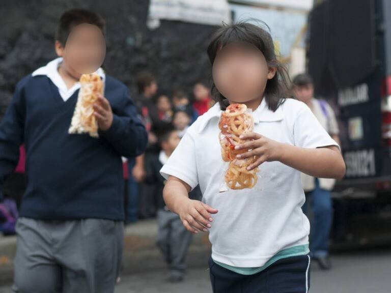 PVEM promueve iniciativa que prohíba alimentos "chatarra" en escuelas