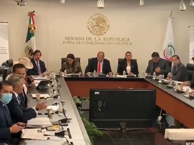 Comisiones del Senado discuten Ley Minera
