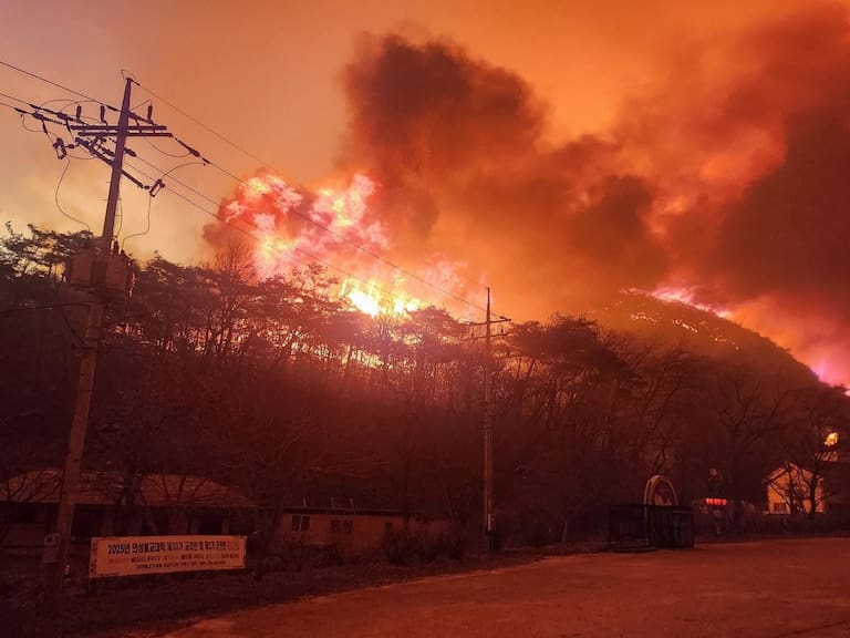 Tras los incendios forestales en Corea del Sur, el Servicio Forestal ha confirmado la muerte de 18 personas, además de 19 heridos y una persona desaparecida.