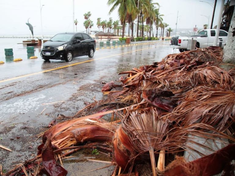 Restablece CFE 99 % de suministro eléctrico a los afectados por "Pamela"